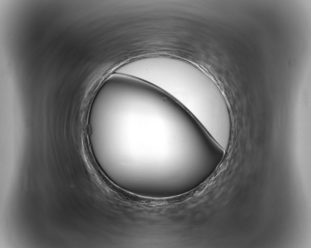 X0000086240097200703291013
