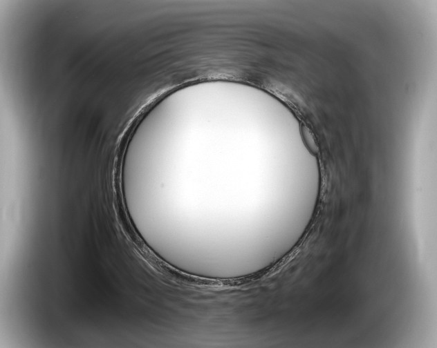 X0000086240098200703291013