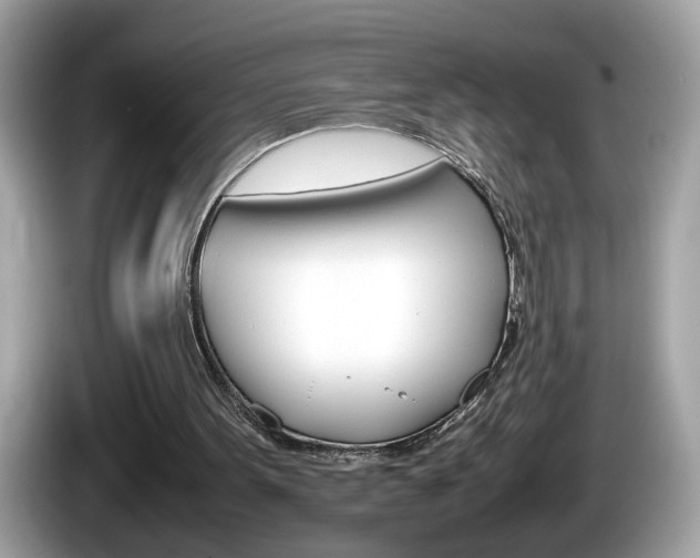 X0000086240099200703291013