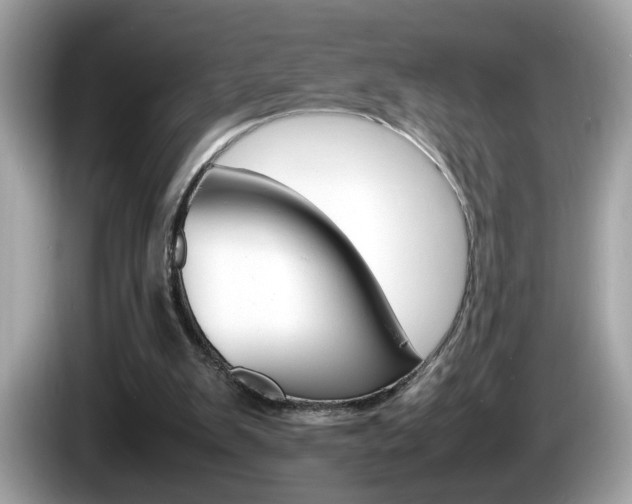 X0000086240103200703291013