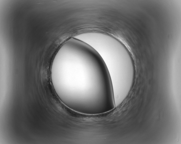 X0000086240105200703291013