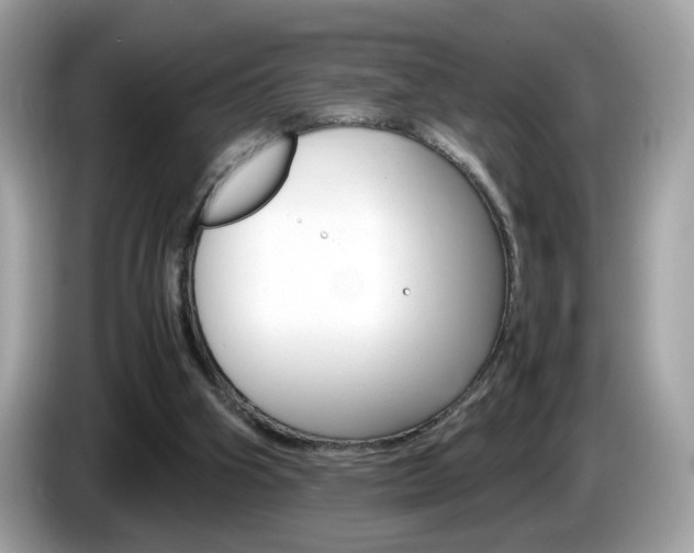 X0000086240106200703291013