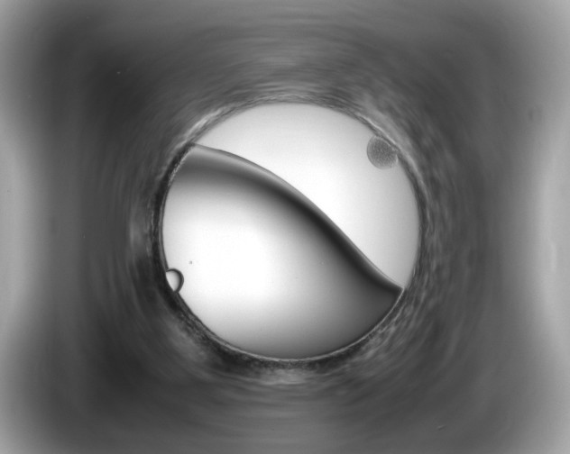 X0000086240107200703291013