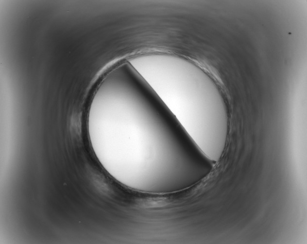 X0000086240108200703291013