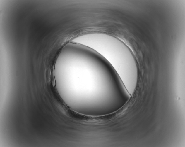 X0000086240109200703291013