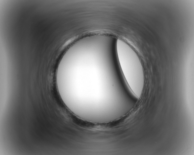 X0000086240111200703291013
