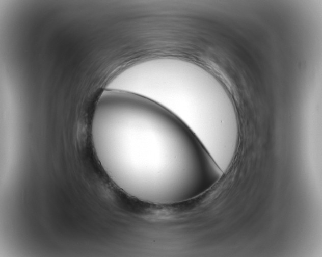 X0000086240113200703291013
