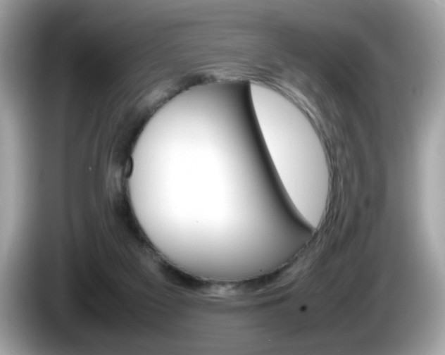 X0000086240117200703291013