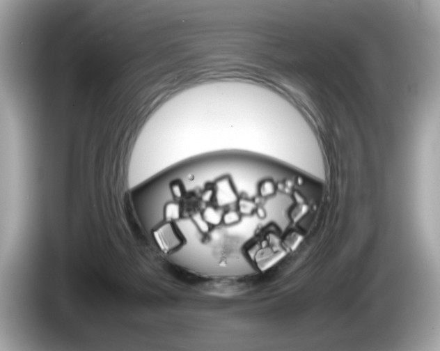 X0000086240121200703291013