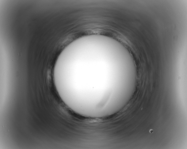 X0000086240122200703291013
