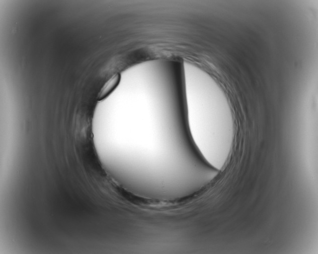 X0000086240125200703291013