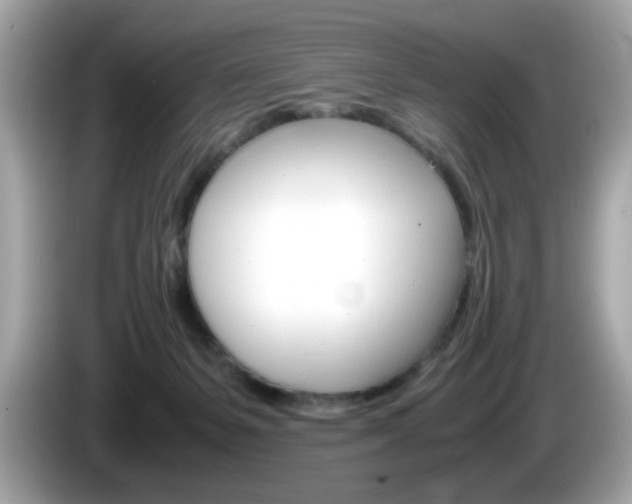 X0000086240127200703291013