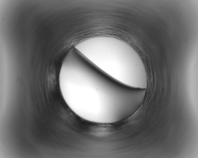 X0000086240128200703291013