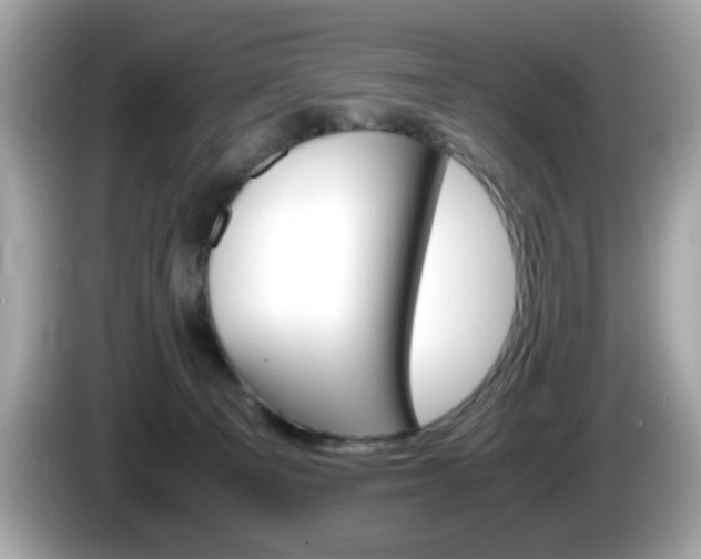 X0000086240129200703291013