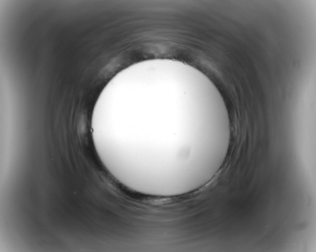 X0000086240132200703291013