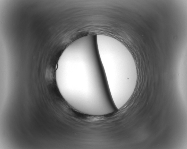 X0000086240135200703291013