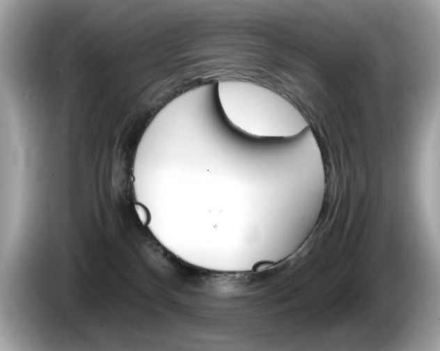 X0000086240136200703291013