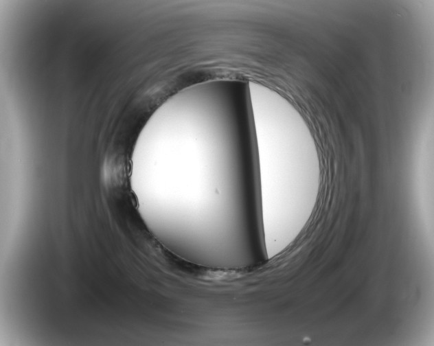 X0000086240137200703291013