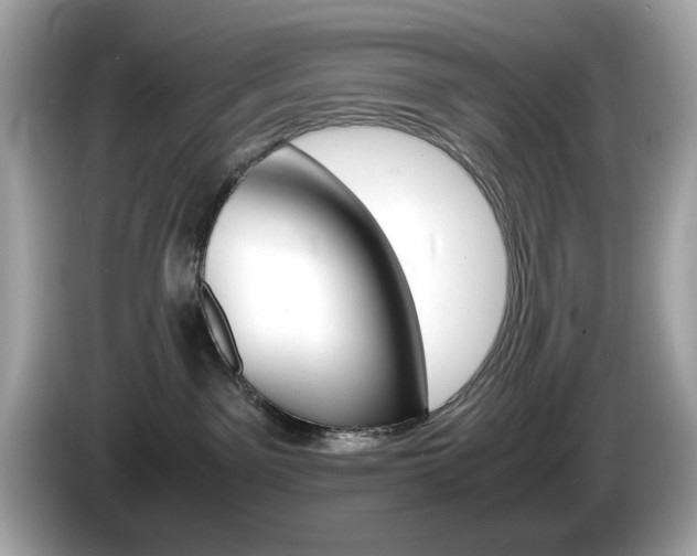 X0000086240141200703291013
