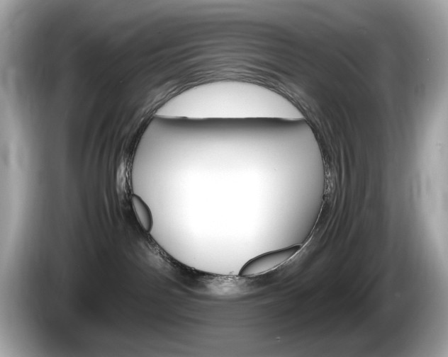 X0000086240142200703291013
