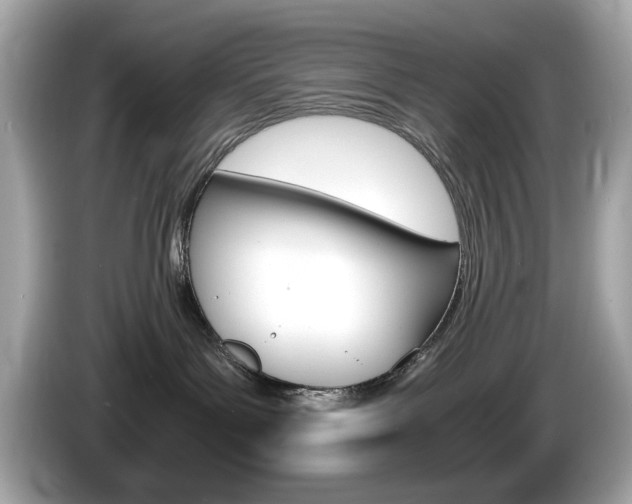 X0000086240143200703291013