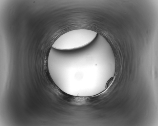 X0000086240144200703291013