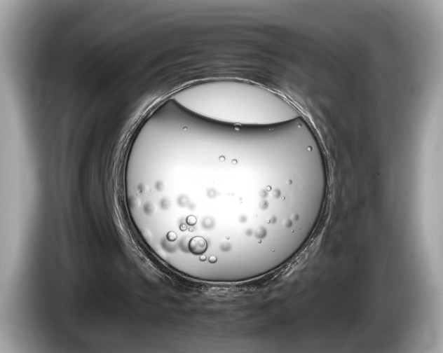 X0000086240145200703291012