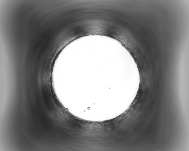 X0000086240146200703291012