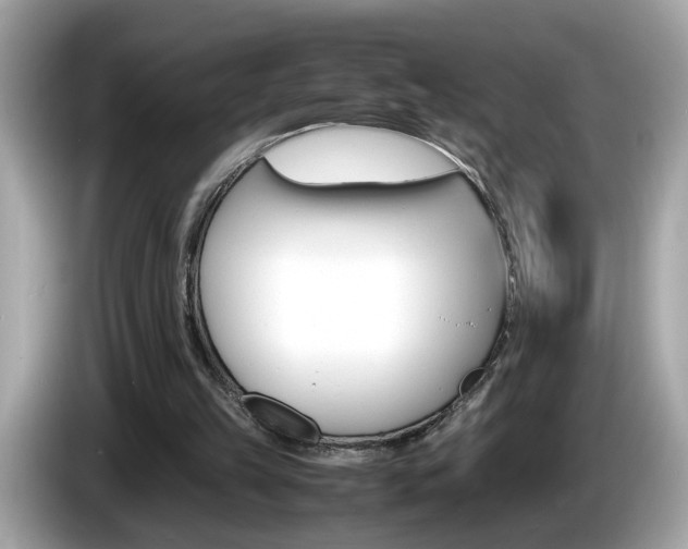 X0000086240149200703291012