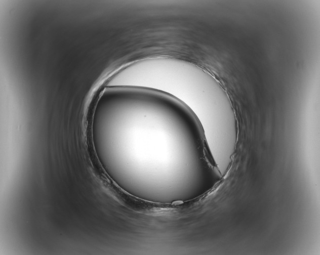 X0000086240150200703291012