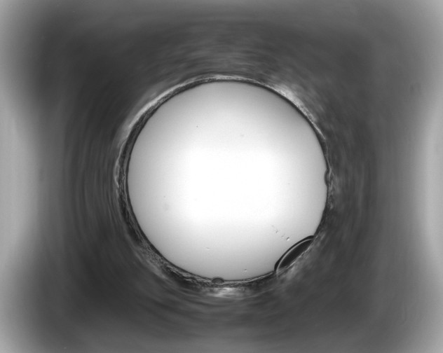 X0000086240151200703291012
