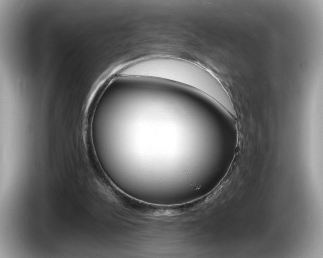X0000086240152200703291012