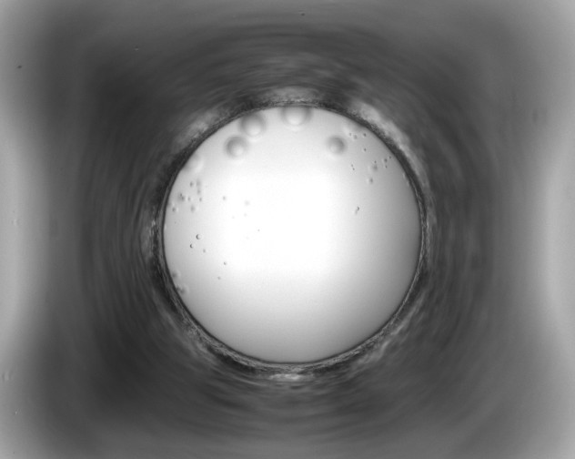 X0000086240153200703291012