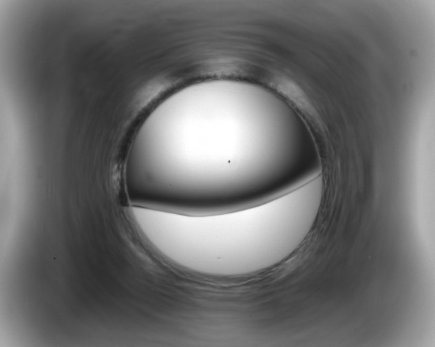 X0000086240160200703291012