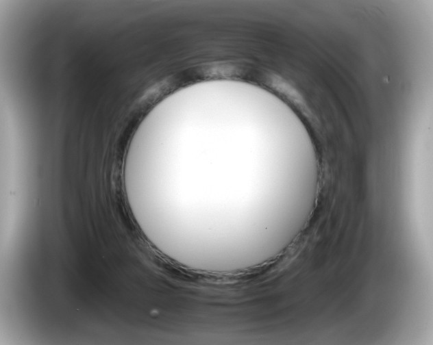 X0000086240161200703291012