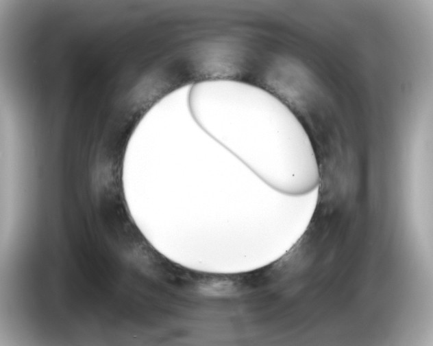 X0000086240162200703291012