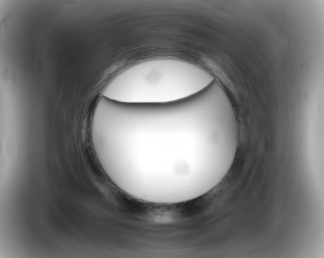 X0000086240163200703291012