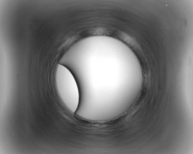 X0000086240165200703291012