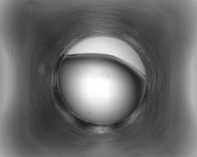 X0000086240168200703291012