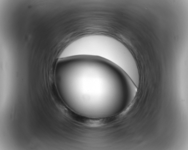X0000086240170200703291012