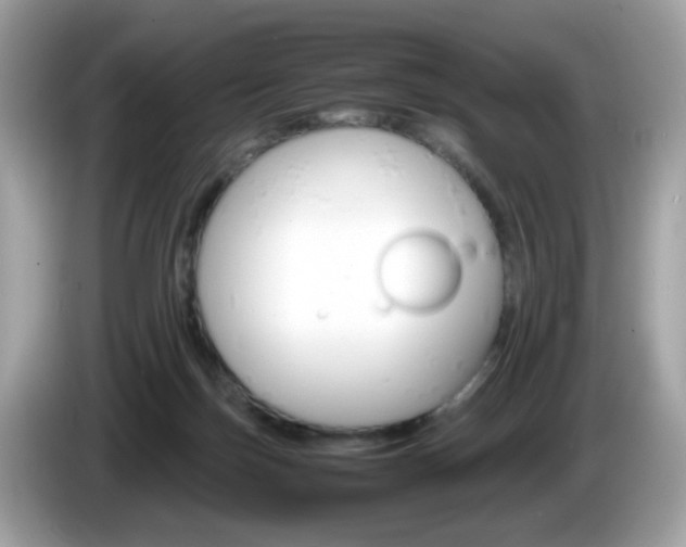 X0000086240171200703291012