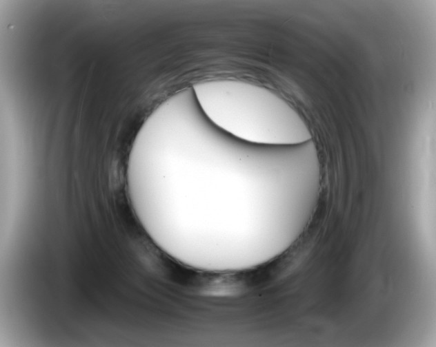 X0000086240173200703291013