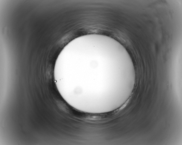X0000086240174200703291013