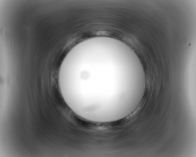 X0000086240175200703291013