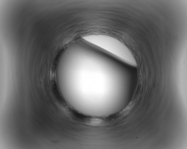 X0000086240176200703291013