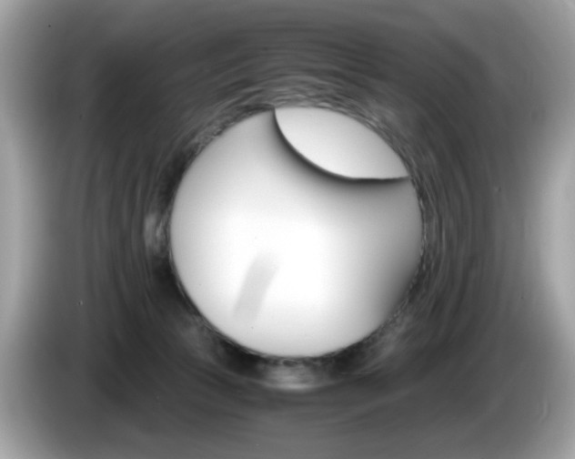 X0000086240177200703291013