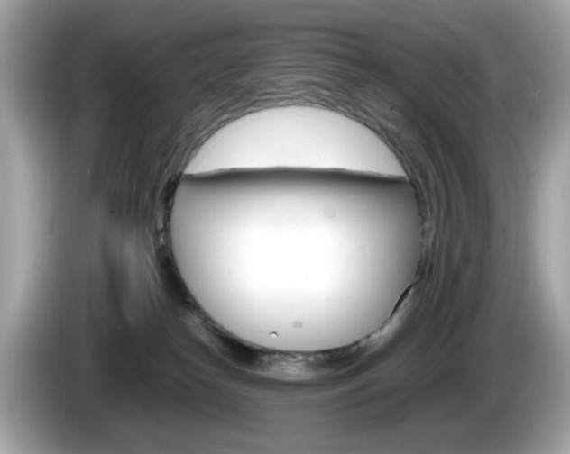 X0000086240182200703291013