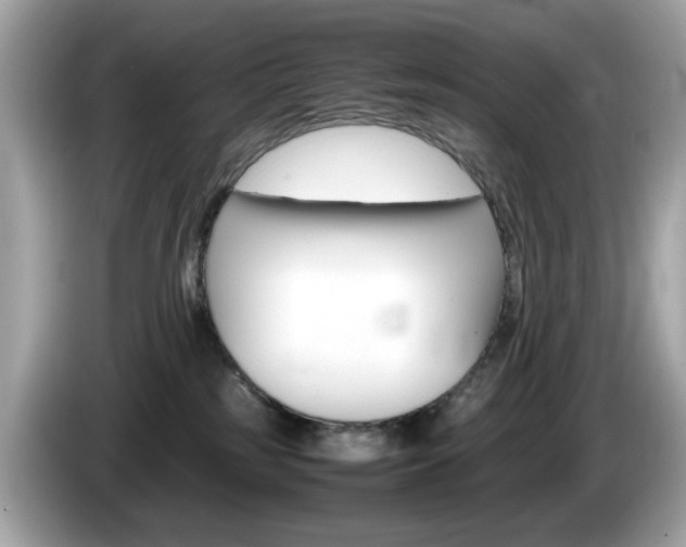 X0000086240185200703291013