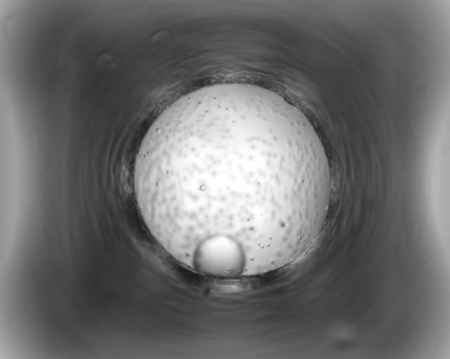 X0000086240187200703291013