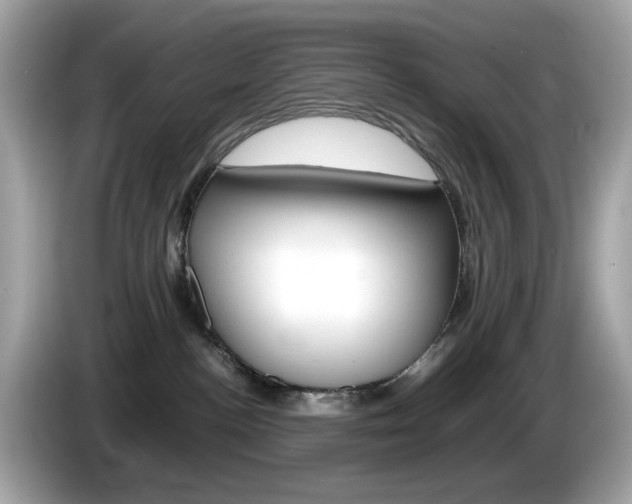 X0000086240188200703291013